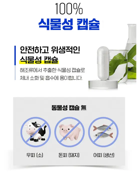 60세 이상 시니어의 기억력, 인지력 향상을 위한 뇌 건강 영양제 보령 메가브레인 포스파티딜세린 징코