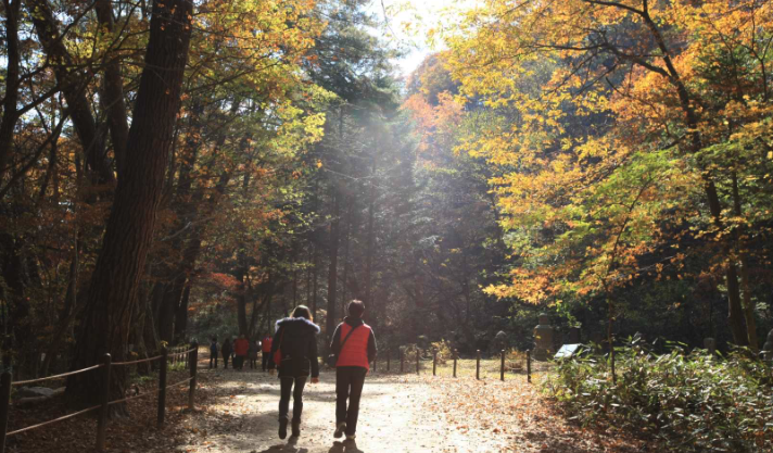 치악산 등산코스&amp;#44; 지도&amp;#44; 추천 등 3분 총정리