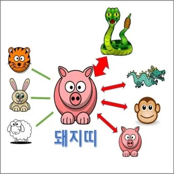 소띠 돼지띠 결혼 띠궁합으로 보는 사랑과 궁합 이야기_20