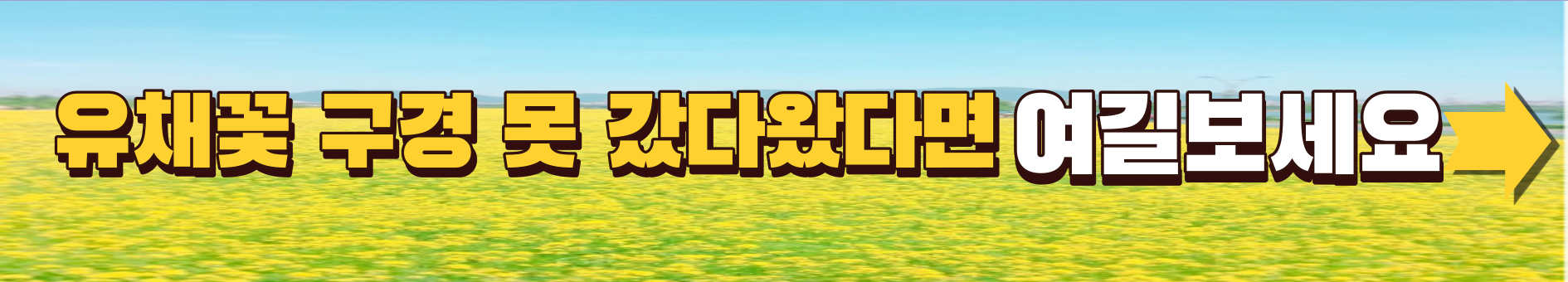창녕 유채꽃축제.낙동강 유채축제_2023년.행사안내