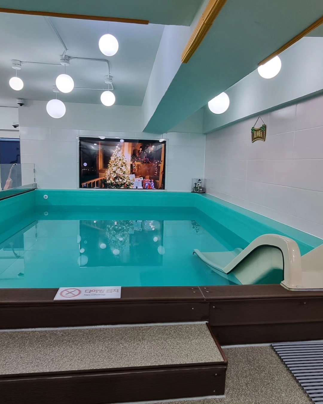 📸 수영장 사진