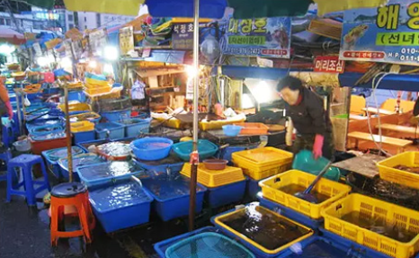 강원도 속초관광수산시장(중앙시장) 먹거리 맛집 영업시간 주차 방법 총정리