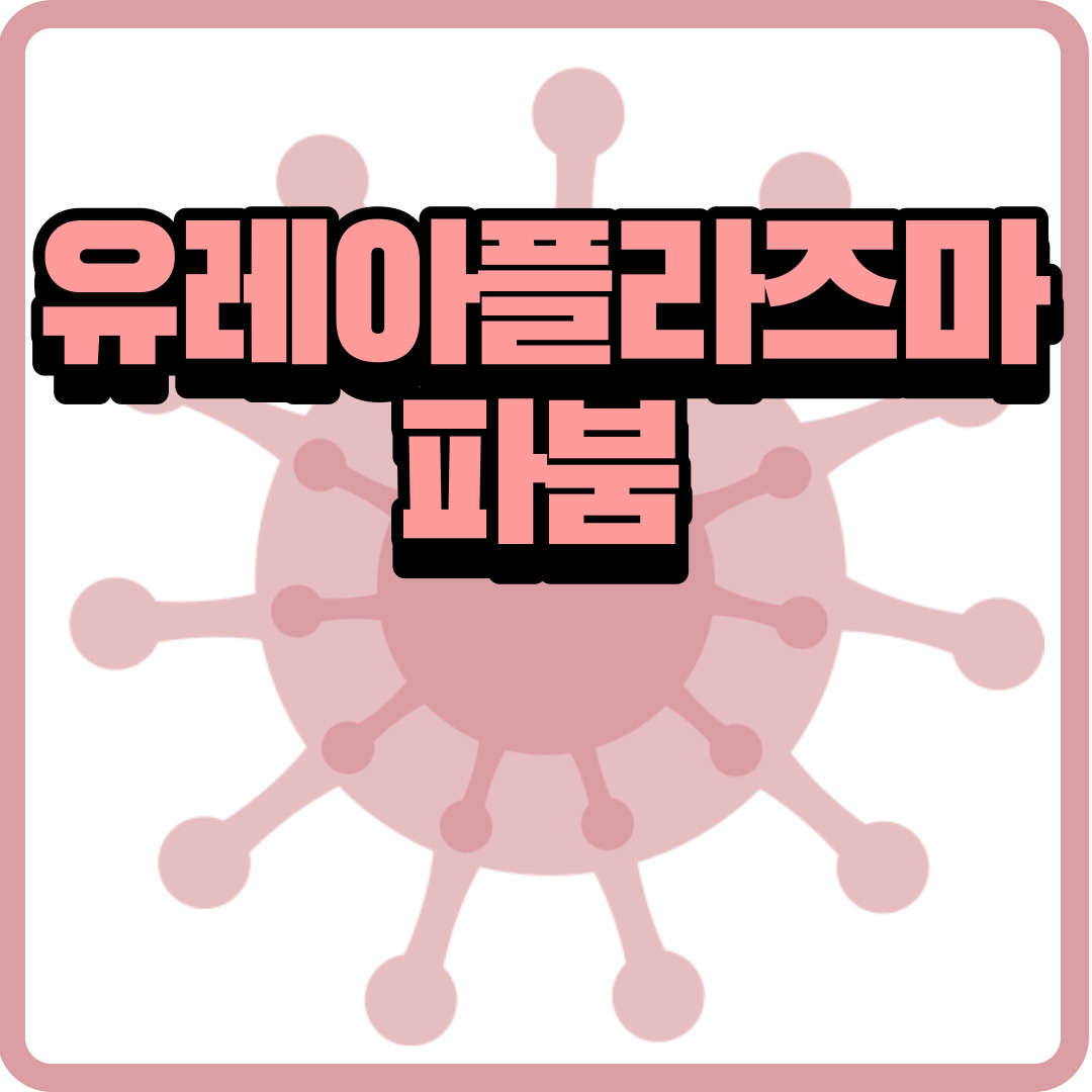 유레아플라즈마 파붐 총정리