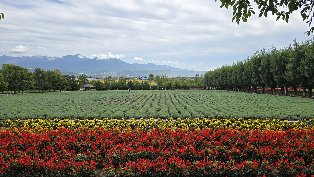 팜토미타는 여름에 오세요!