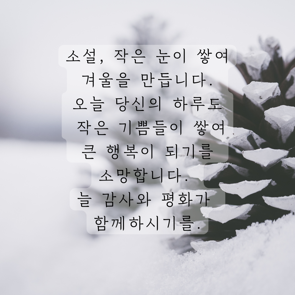 소설 인사말 이미지 겨울 인사글 문구 모음