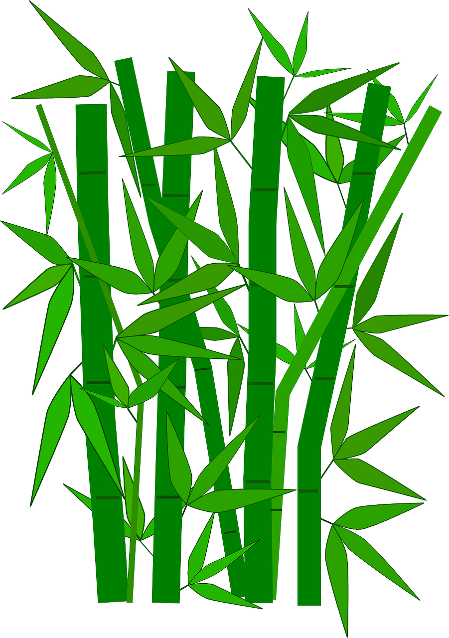 담양 대나무 축제