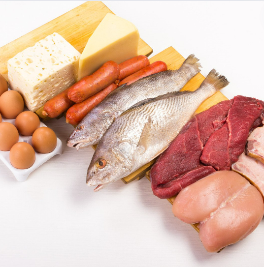 단백질 식품