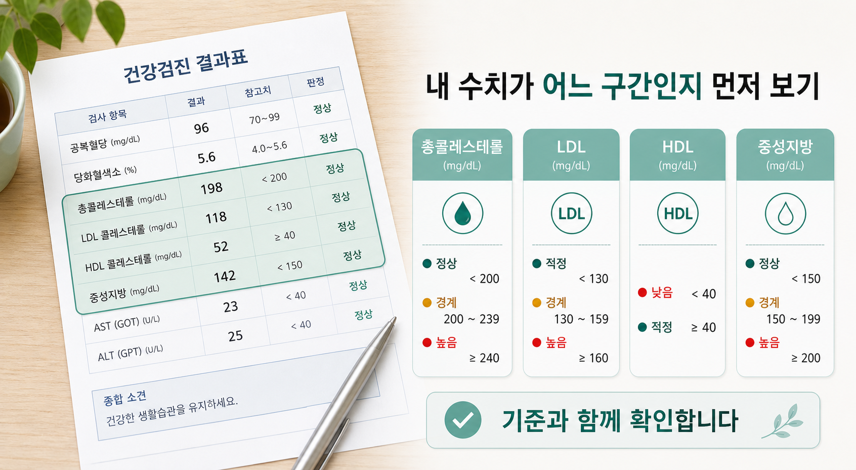 건강검진 콜레스테롤 수치 결과표에서 총콜레스테롤 LDL HDL 중성지방 기준을 보는 이미지
