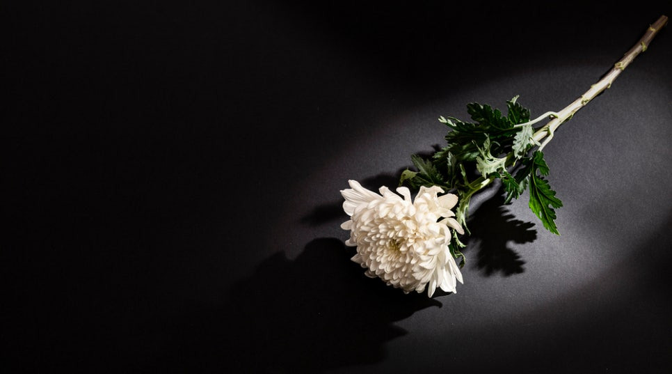 강동경희대병원장례식장