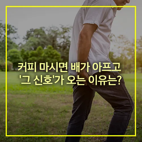 커피 마시면 배아픈 이유