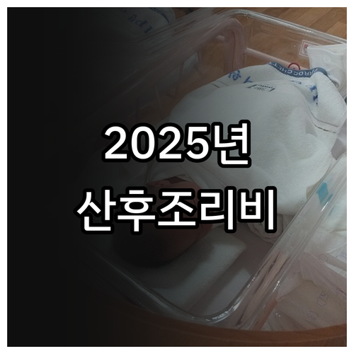 2025 군산시 산후조리비용 지원 정..