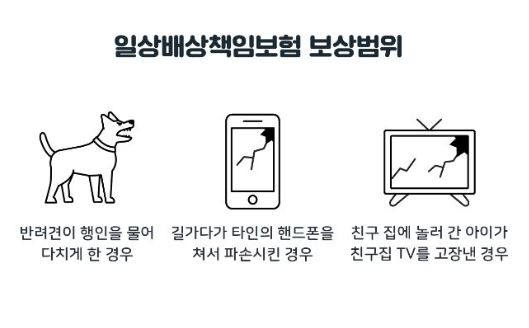 일상생활-배상책임보험-보상범위