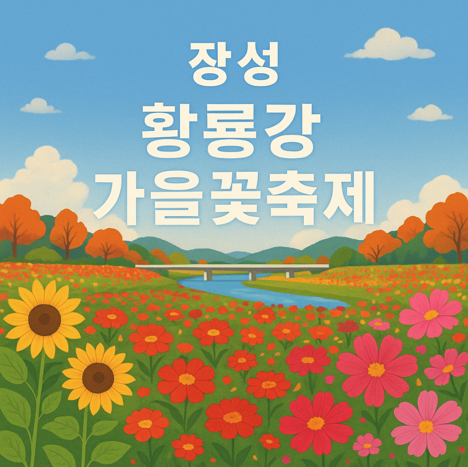 장성 황룡강 가을 꽃축제