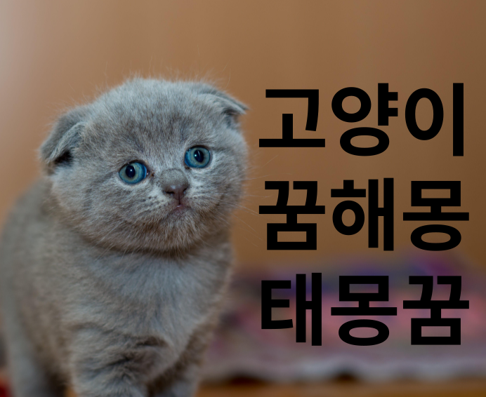 고양이 꿈해몽 태몽꿈 풀이 섬네일