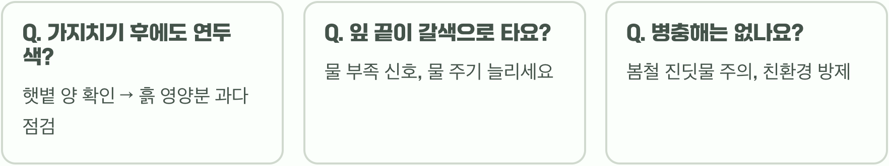 플라밍고셀릭스 잎이 핑크색이 아니에요! 원인과 해결책