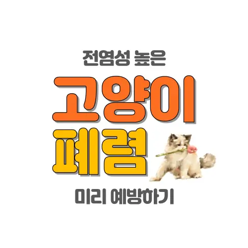 고양이 폐렴 썸네일