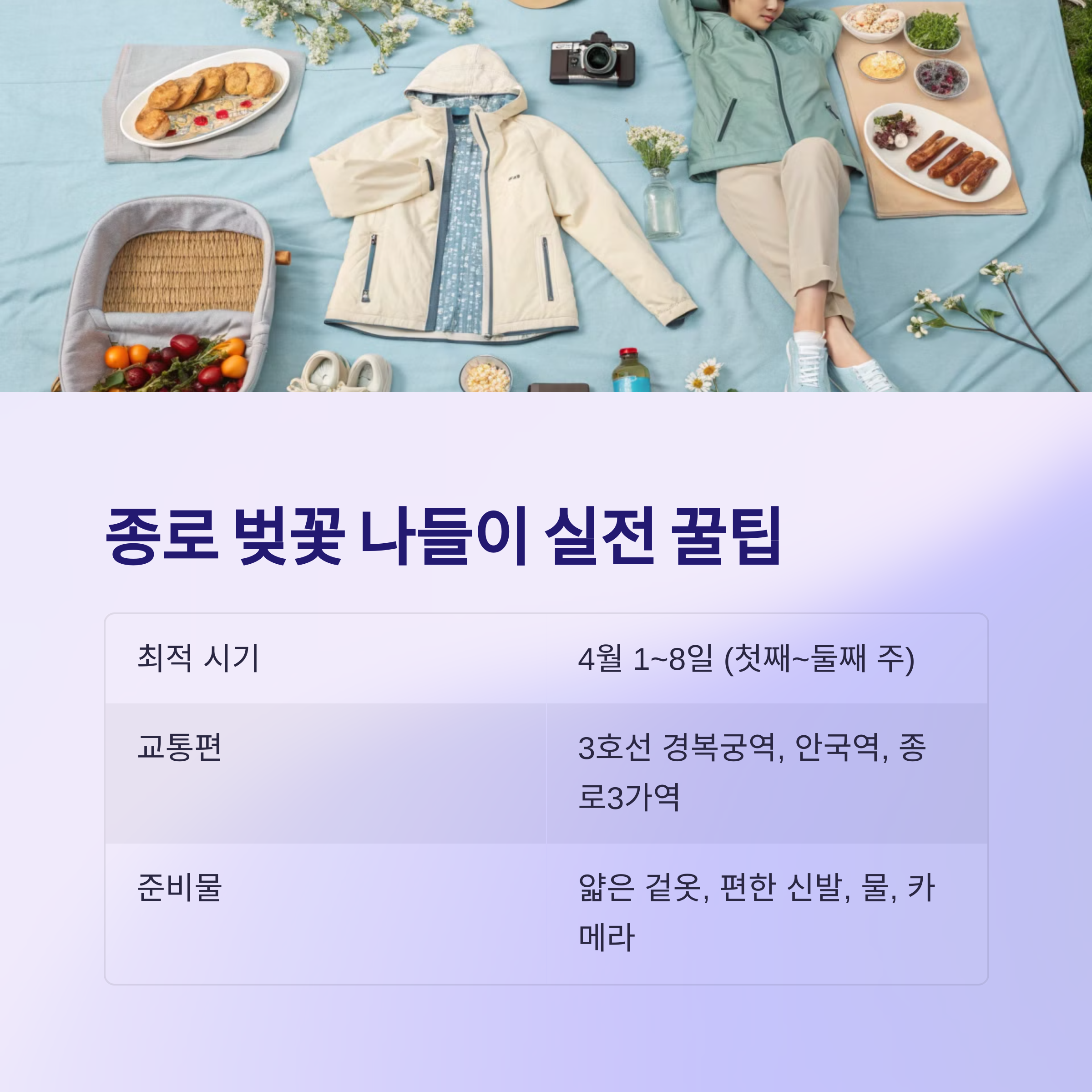 종로 벚꽃 나들이 실전 꿀팁