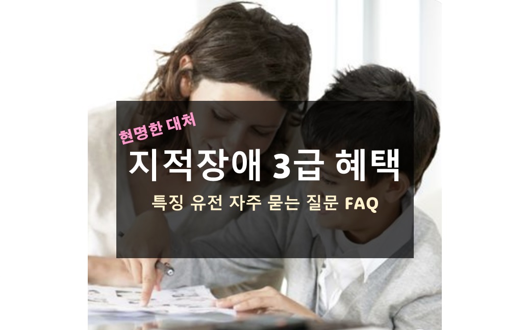 지적장애 3급 혜택