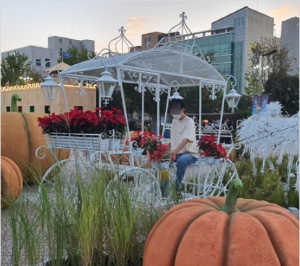 전라남도 정원페스티벌