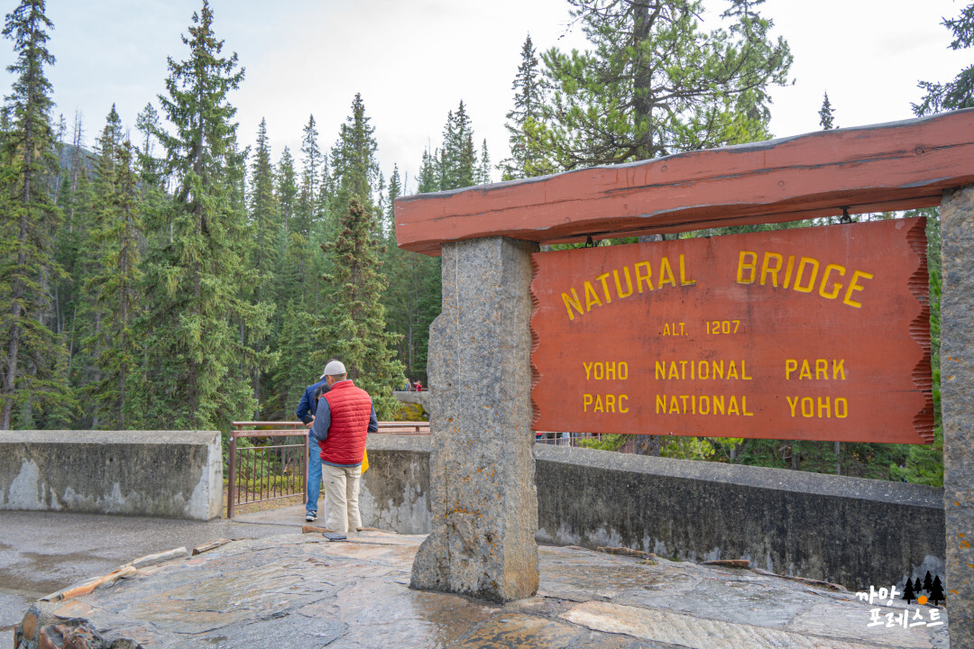 캐나다 밴프 네츄럴 브릿지
