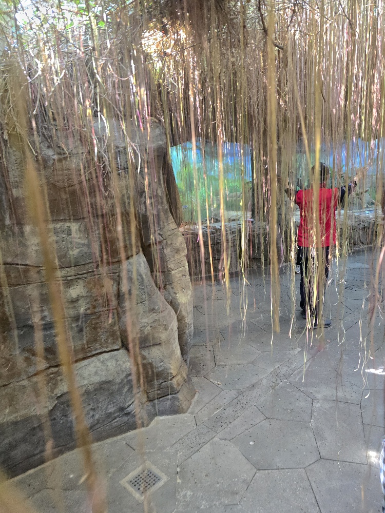 서천 국립생태원