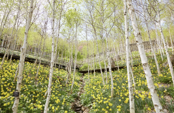 봄&amp;#44;여름&amp;#44; 가을 화담숲