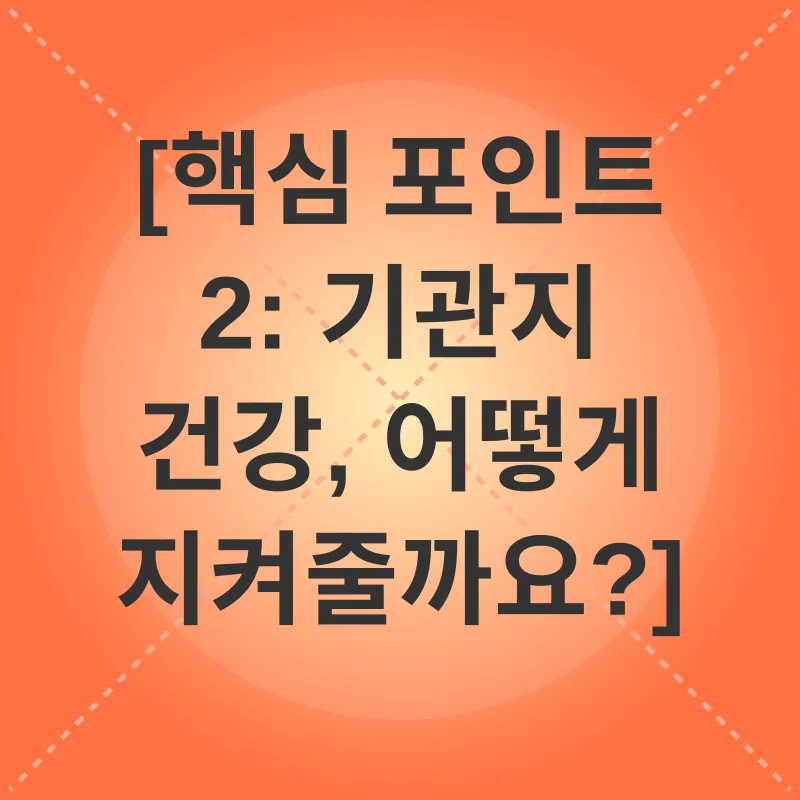 고양이 스크래쳐_4