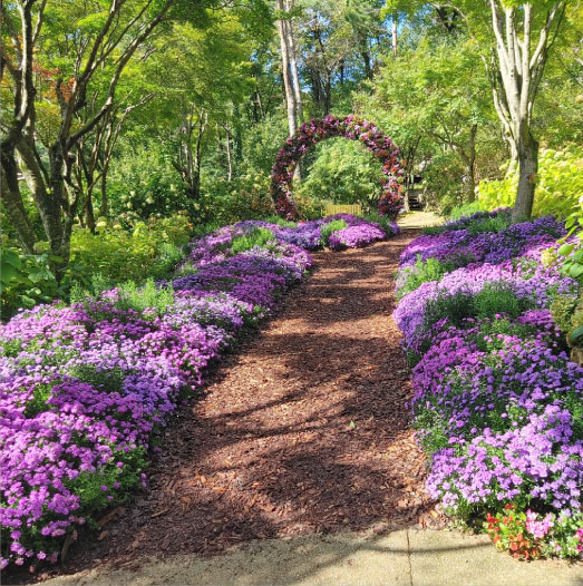 화담숲 예매 방법 주의사항