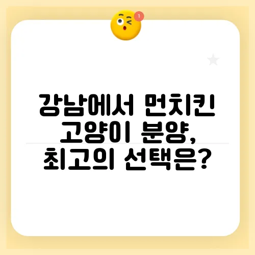 강남에서 먼치킨 고양이 분양, 최고의 선택은?
