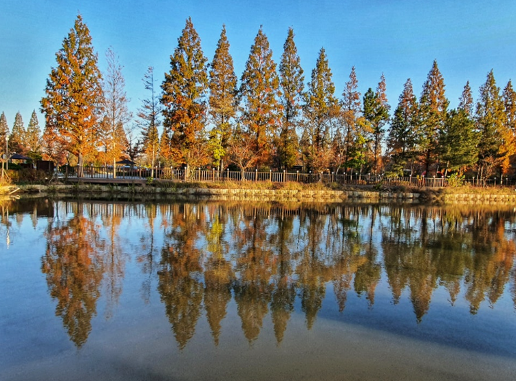 경북천년숲정원
