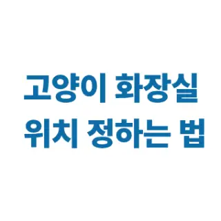 고양이 화장실 위치와 배변 실수 예방