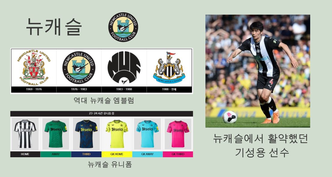 뉴캐슬 소개