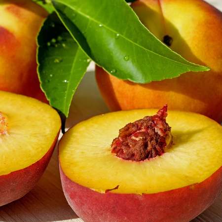 당뇨에 좋은 과일