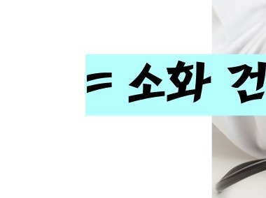 담도암 이란 / 담도암 증상