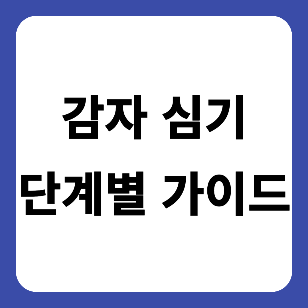 감자 심기