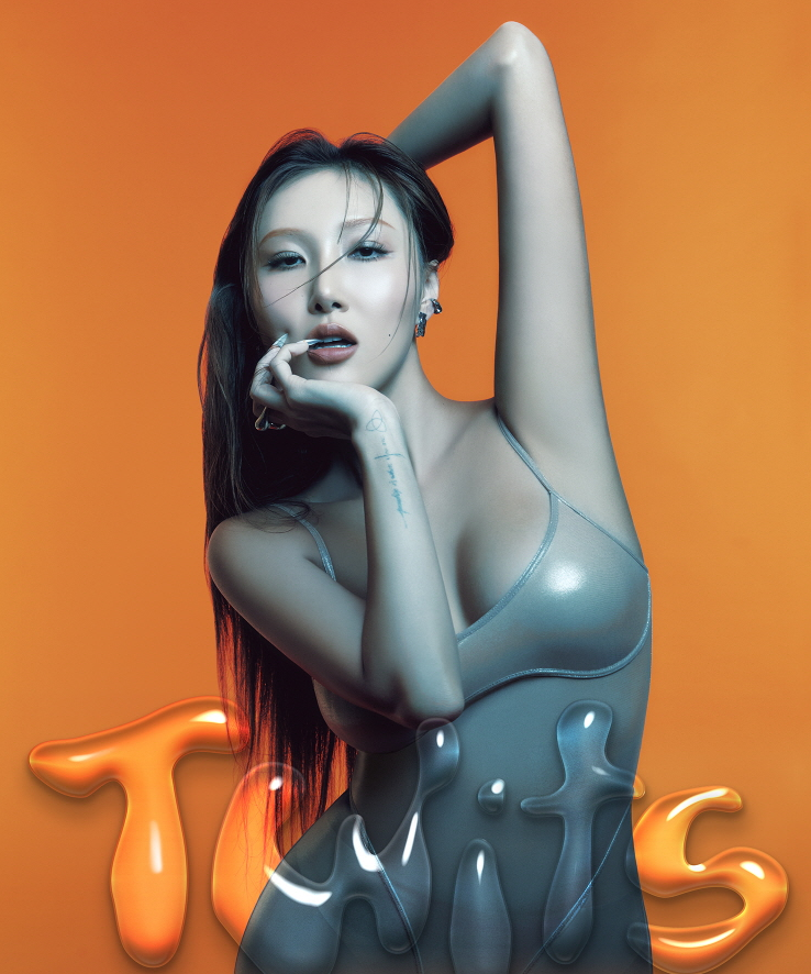 화사 콘서트 FANCON TOUR