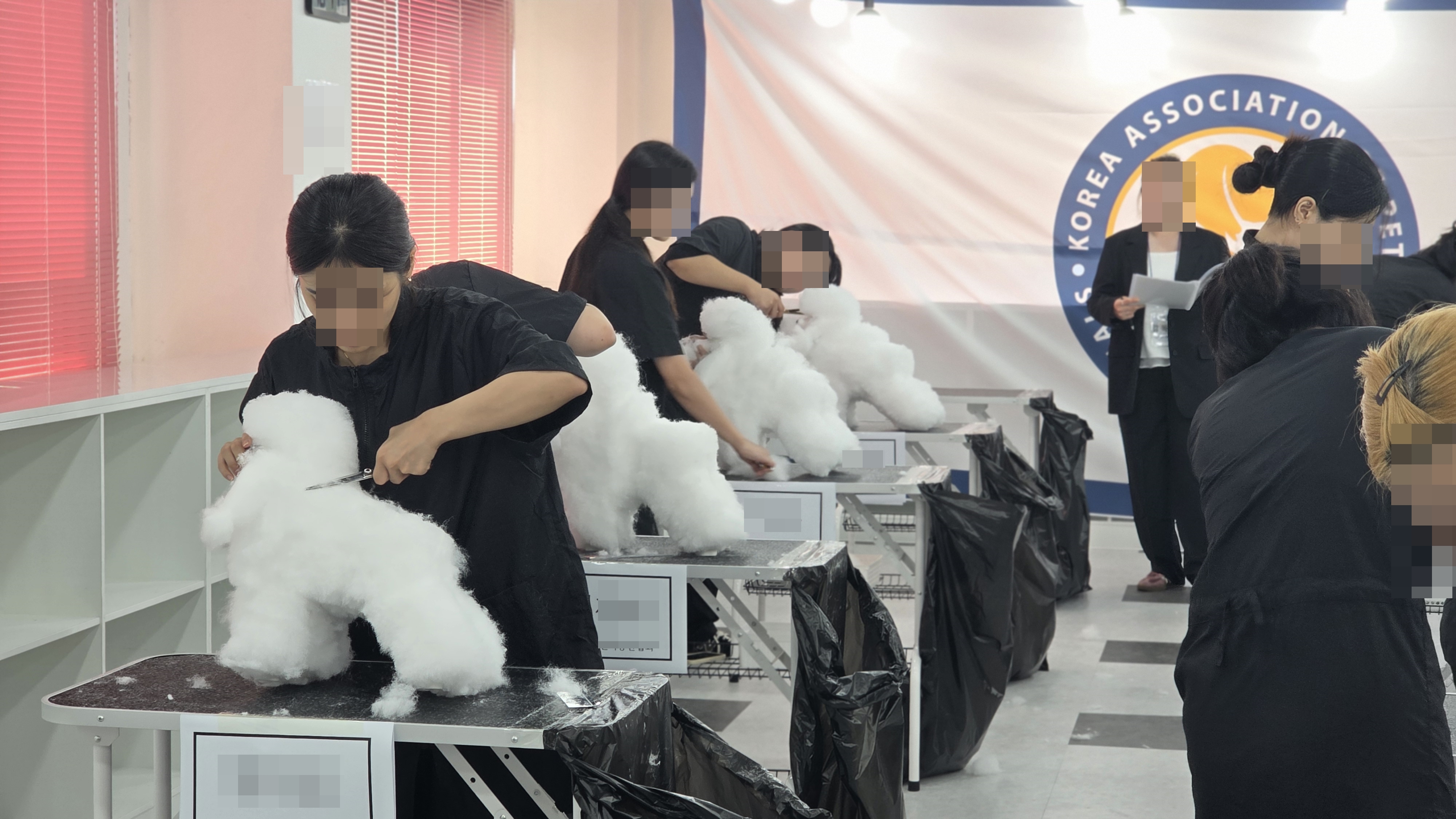 애견미용사자격증학원