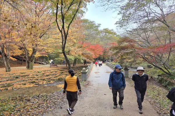 강천산4