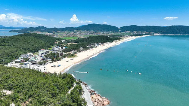 완도 맛집 베스트10 숨겨진 남도 해산물_3