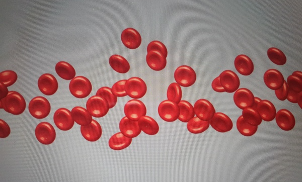 둥둥-떠다니는-혈액-세포