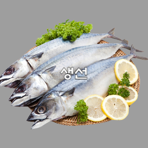 다이어트 생선 오메가3 불포화지방산