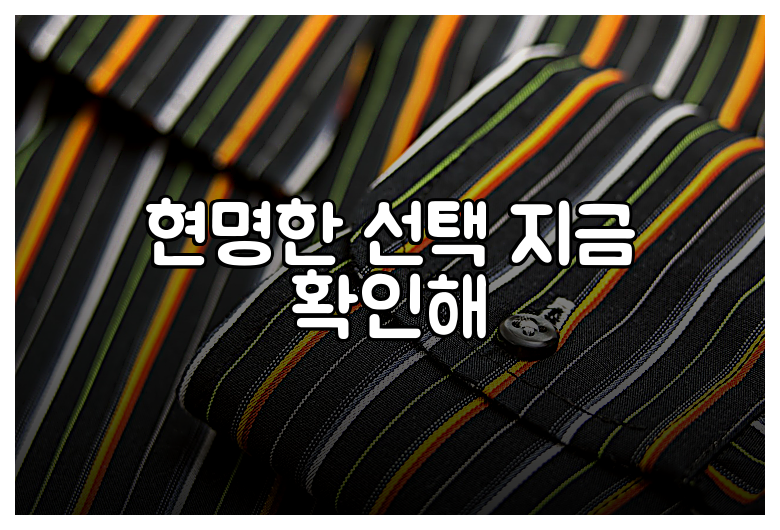 현명한 선택 지금 확인해