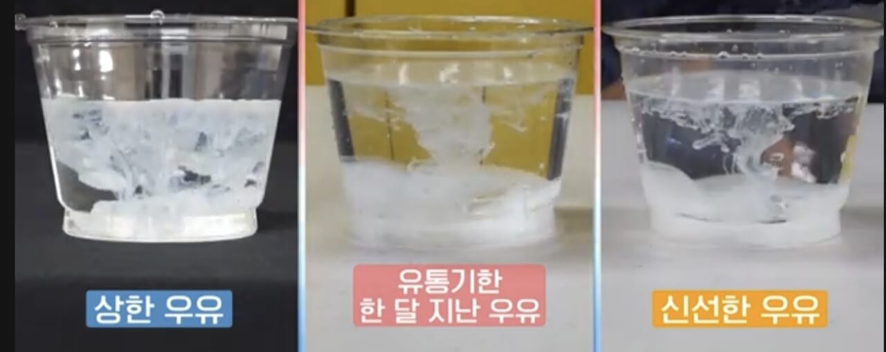 유통기한 지난 우유&amp;#44; 섭취 기준 및 활용법