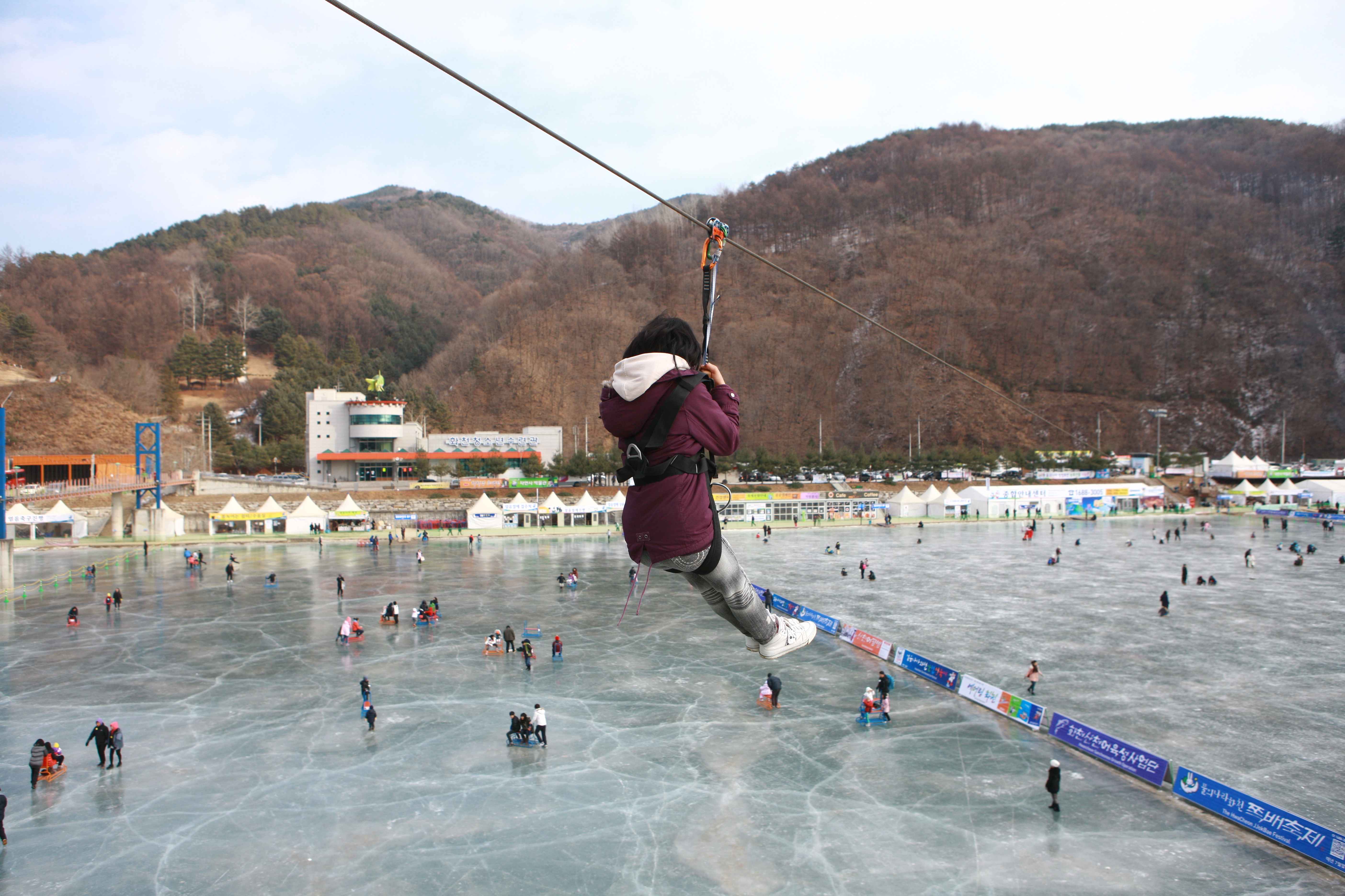 화천산천어축제
