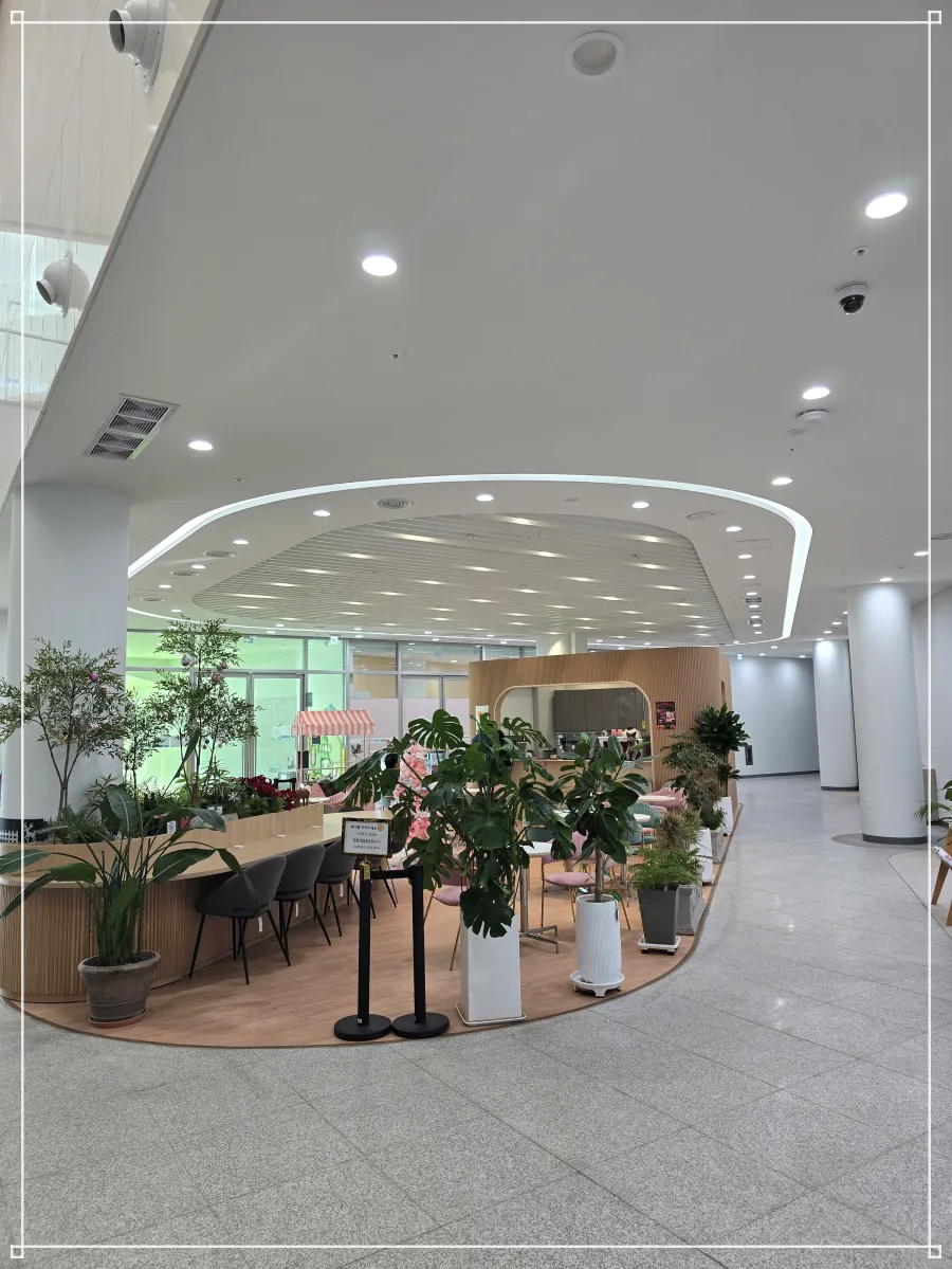 양평도서관-실내-1층로비-카페-화분