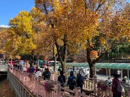 청남대 관람 예약