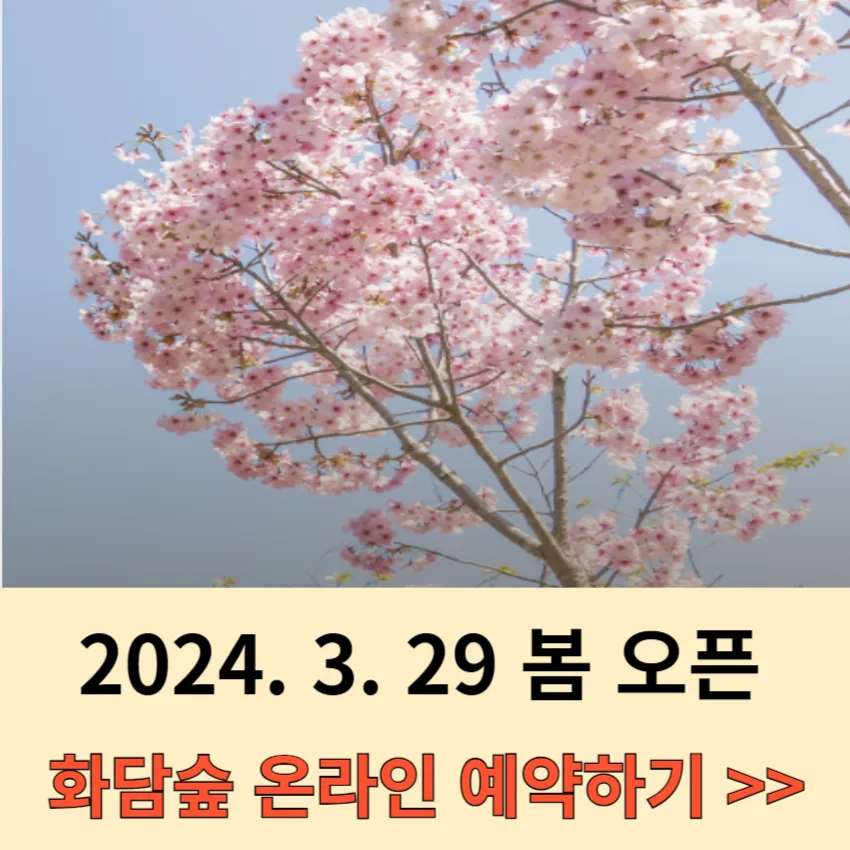 화담숲 예약-예매-입장료-벚꽃-모노레일-화담채