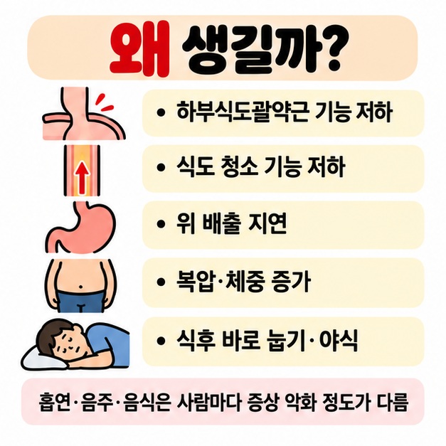 하부식도조임근 기능 이상 식도 운동 저하 위 배출 지연 체중 증가 식후 바로 눕기를 역류성 식도염 원인과 악화 요인으로 보여주는 카드