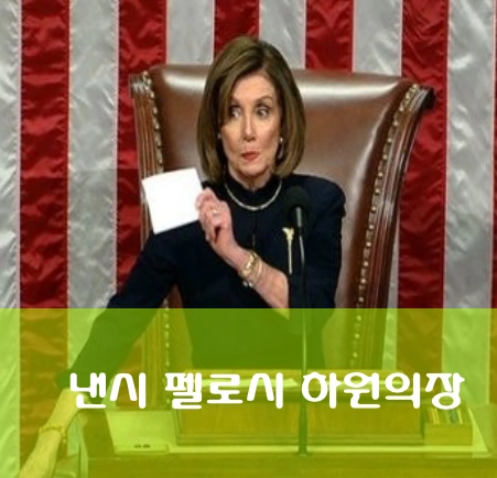 낸시 펠로시 하원의장