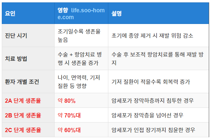 대장암 2기 생존율 통계 요약